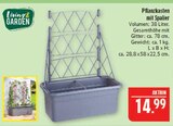 Pflanzkasten mit Spalier im Angebot bei Marktkauf in Schweinfurt Pflanzkasten mit Spalier Angebote von Living & Garden bei Marktkauf Schweinfurt für 14,99 €