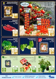 Kräuter Angebot im aktuellen Marktkauf Prospekt auf Seite 23