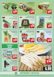 Pflanzen im Marktkauf Prospekt in Altenburg Aktueller Marktkauf Prospekt mit Pflanzen, "GANZ GROSS in kleinsten Preisen!", Seite 9
