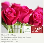 Nimm mich mit Rose bei Pflanzen Kölle im Prospekt "" für 2,59 €