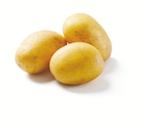 Speisefrühkartoffeln, festkochend für 1,69 € bei Lidl im Angebot Speisefrühkartoffeln, festkochend im aktuellen Lidl Prospekt