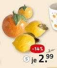 Dekoaufsteller im Angebot bei ROLLER in Fellbach Dekoaufsteller Angebote bei ROLLER Fellbach für 2,99 €
