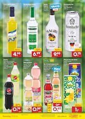 Aktueller Netto Marken-Discount Prospekt mit Wodka, "Aktuelle Angebote", Seite 23