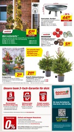 Aktueller toom Baumarkt Prospekt mit Weihnachtsbaum, "Respekt, wer's selber macht.", Seite 2