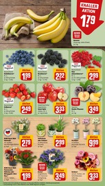 Blumen im REWE Prospekt in Bornheim Aktueller REWE Prospekt mit Blumen, "Dein Markt", Seite 9