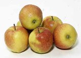 Aktuelle Äpfel Angebote bei Hieber in Freiburg (Breisgau) Aktuelles Äpfel Angebot bei Hieber in Freiburg (Breisgau) ab 1,99 €