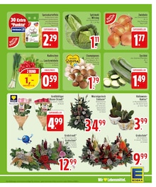 Blumen im EDEKA Prospekt "Wir lieben Lebensmittel." mit 32 Seiten (Augsburg)