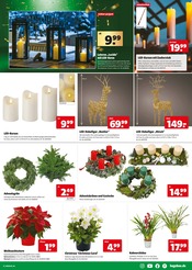 Aktueller Hagebaumarkt Prospekt mit Adventskranz, "UNSERE BLACK WEEK KNALLER", Seite 7