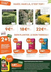 Promos Géranium dans le catalogue "L'automne, c'est la saison des racines !" de Ma Jardinerie Géranium en promo dans le catalogue Ma Jardinerie à la page 4