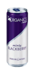 Organics Minty Blackberry Angebote von Red Bull bei Lidl Ravensburg für 0,85 €