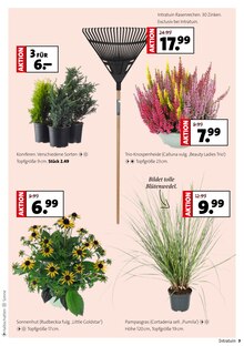 Blumen im Moubis Pflanzenhof Prospekt "MACH DEINEN GARTEN HERBST-FIT" mit 8 Seiten (Osnabrück)