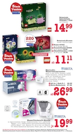 Aktueller E center Prospekt mit Pflanzen, "Aktuelle Angebote", Seite 65