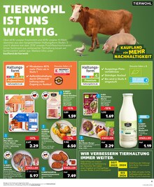 Rindfleisch im Kaufland Prospekt "Aktuelle Angebote" mit 28 Seiten (Mainz)