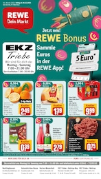 REWE Prospekt "Dein Markt" für Recklinghausen, 32 Seiten, 30.12.2024 - 04.01.2025