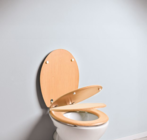 WC Sitz  im aktuellen Netto mit dem Scottie Prospekt für 19,99 €