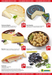 Aktueller E center Prospekt mit Ziegenkäse, "Aktuelle Angebote", Seite 37