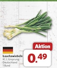 combi Damme - Lauchzwiebeln Angebot im Prospekt Lauchzwiebeln bei combi im Damme Prospekt für 0,49 €