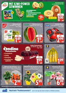 Aktueller EDEKA Woldegk Prospekt EDEKA Prospekt Woldegk "Top Angebote" mit 12 Seiten