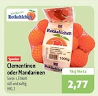 aktiv & irma Oldenburg - Clementinen oder Mandarinen Angebot im Prospekt Clementinen oder Mandarinen bei aktiv & irma im Oldenburg Prospekt für 2,77 €