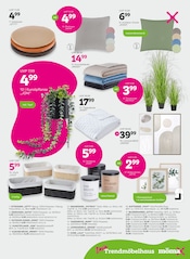 Aktueller mömax Prospekt mit Kerzen, "Bei dir liegt Ostern im Trend?", Seite 13