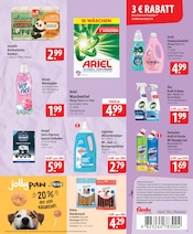 Aktueller famila Nordost Prospekt mit Bambus, "besser als gut!", Seite 19