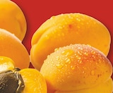 ALDI Nord - Aprikosen Angebot im Prospekt Aprikosen bei ALDI Nord im Prospekt "" für 2,99 €