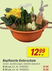 Bepflanzte Osterschale für 12,99 € bei toom Baumarkt im Angebot Bepflanzte Osterschale im aktuellen toom Baumarkt Prospekt