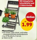 Aktuelle Pflanzen Angebote bei Penny in Freiburg (Breisgau) Aktuelles Pflanzentreppe Angebot bei Penny in Freiburg (Breisgau) ab 1,99 €