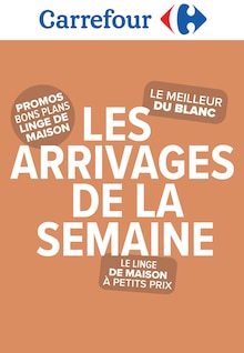 Première page du catalogue Carrefour