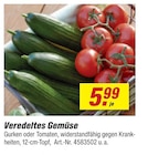 Veredeltes Gemüse bei toom Baumarkt im Falkenstein Prospekt für 5,99 €