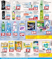 Shampoo im HIT Prospekt in Dülmen Aktueller HIT Prospekt mit Shampoo, "ECHTE VIELFALT", Seite 15