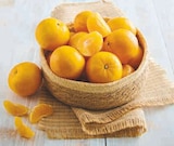 Le mini plateau Clementine en promo chez U Express Le mini plateau Clementine dans le catalogue U Express