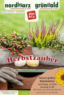Aktueller Garten-Center Nordharz GmbH & Co. KG Prospekt (Flöthe, 12 Seiten zum blättern Garten-Center Nordharz GmbH & Co. KG Prospekt HERBSTZAUBER mit 12 Seiten