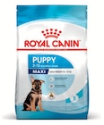 Croquettes Puppy - ROYAL CANIN - Maxi Zoo Croquettes Puppy - ROYAL CANIN à 55,49 € dans le catalogue Maxi Zoo