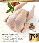 Angebot im E center Bretzenheim Prospekt E center Bretzenheim Prospekt mit im Angebot für 7,99 €