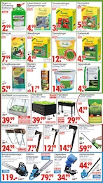 Wreesmann Axt im Prospekt 