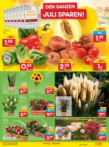 Paprika im aktuellen Netto Marken-Discount Prospekt (Rostock) Paprika im Netto Marken-Discount Prospekt "Aktuelle Angebote" mit 49 Seiten (Rostock)
