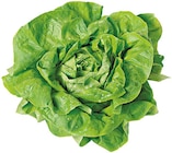 Kopfsalat im Angebot bei REWE in Kempen Kopfsalat Angebote von REWE Regional bei REWE Kempen für 1,39 €