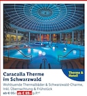 Caracalla Therme im Schwarzwald Angebote bei Lidl Bautzen für 69,00 €