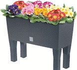 Blumenbank mit Füßen "Rato Case High" Angebote bei Thomas Philipps Cottbus für 19,95 €