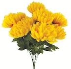 LE BOUQUET DE CHRYSANTHÈMES en promo chez Centrakor Haguenau à 9,99 €