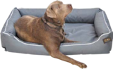 Hundebett Paula von  im aktuellen Globus-Baumarkt Prospekt für 55,00 €