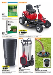 Rewe Pflanzen Angebot & Preis im aktuellen Prospekt 🧡