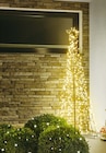 LED-Lichterbaum bei BayWa Bau- und Gartenmärkte im Prospekt "" für 44,99 €