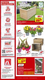 Blumen im toom Baumarkt Prospekt in Tübingen Aktueller toom Baumarkt Prospekt mit Blumen, "Respekt, wer's selber macht.", Seite 4