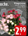 Angebot im EDEKA Oberhausen Prospekt EDEKA Oberhausen Prospekt mit im Angebot für 2,99 €