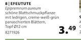  von  im aktuellen Dehner Garten-Center Prospekt für 