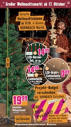 Tannenbaum Angebot & Preis im aktuellen Hornbach Prospekt Tannenbaum Angebot im aktuellen Hornbach Prospekt auf Seite 31
