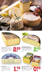 E center Wild im Prospekt 