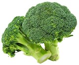 Broccoli im aktuellen REWE Prospekt